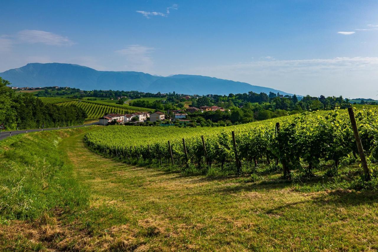 Nella Natura Del Parco Dei Colli Euganei Cinto Euganeo Zewnętrze zdjęcie